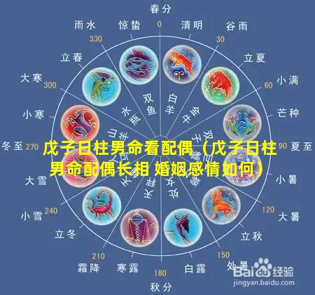 戊子日柱男命看配偶（戊子日柱男命配偶长相 婚姻感情如何）